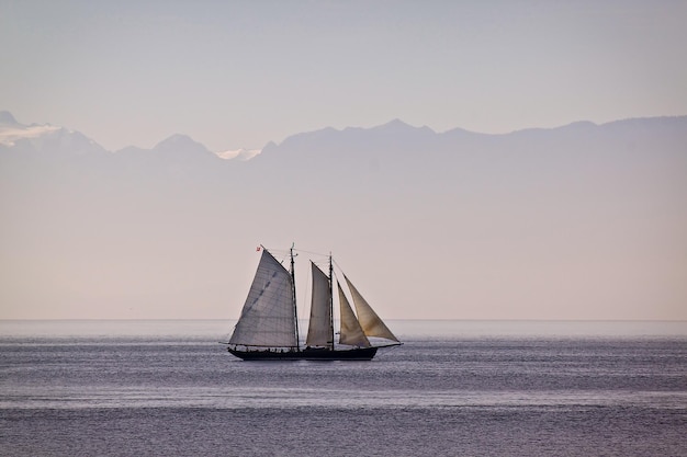 Barcos a vela no mar