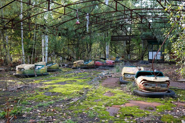 Foto barcos abandonados en el bosque