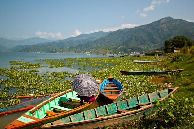 Barcos en el agua en el lago Phewa (Fewa). Mujer sentada en el bote con sombrilla en Pokhara, Nepal