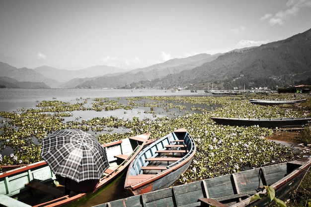 Barcos en el agua en el lago Phewa (Fewa). Mujer sentada en el bote con sombrilla en Pokhara, Nepal