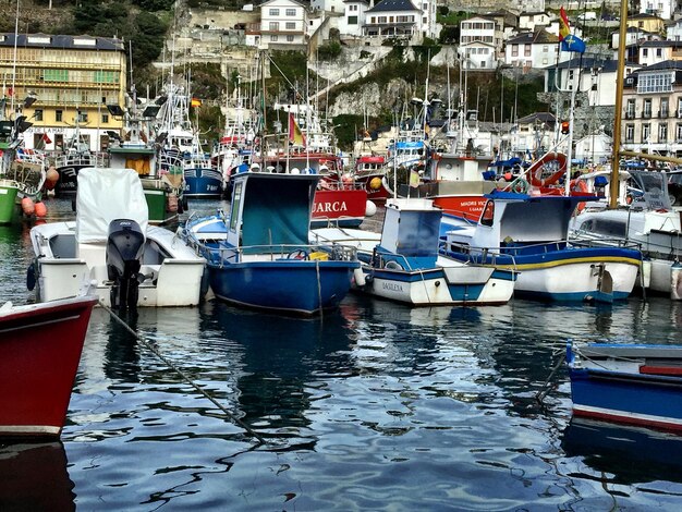 Foto barcos amarrados en el puerto de luarca