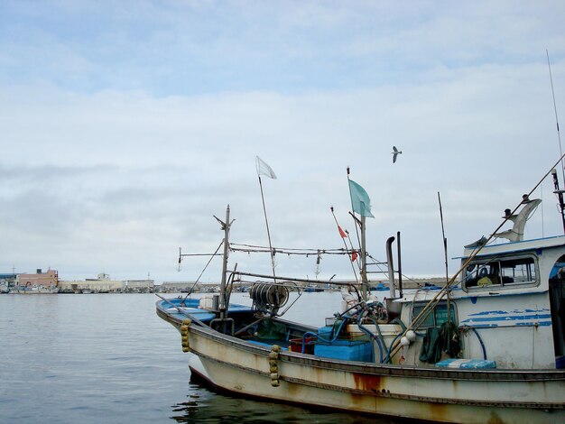 Barcos ancorados no porto