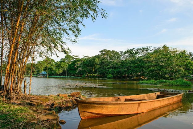 Barcos ancorados no rio por árvores