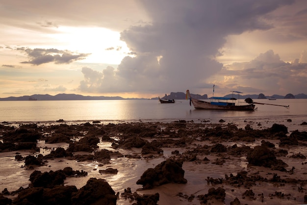 Barcos de cola larga en la playa tropical Golfo dorado de la puesta del sol de la provincia de Tailandia Krabi