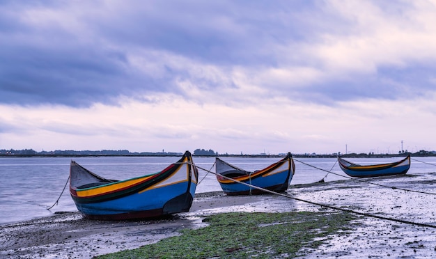 Foto barcos coloridos pegando algas marinhas (moliceiros) na ria de aveiro, portugal