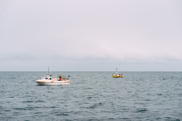 Barcos de pesca brancos flutuam nas águas costeiras da Islândia