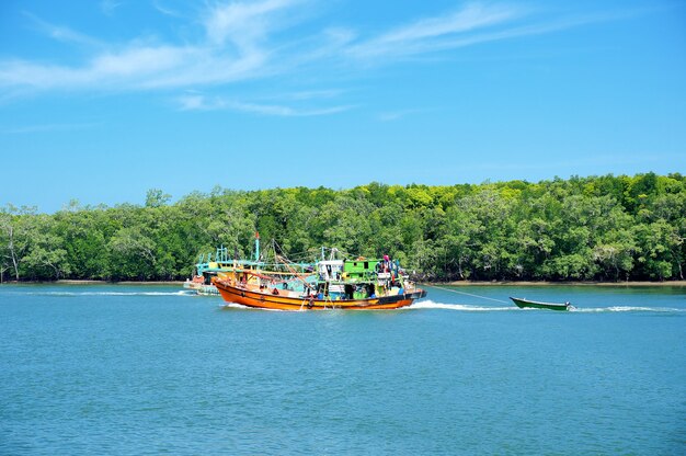 Barcos de pesca