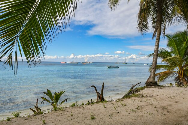 Barcos de recreio em uma ilha do Caribe