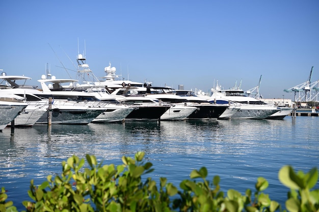 Barcos marítimos de luxo atracados no ancoradouro de iates em Miami, EUA.