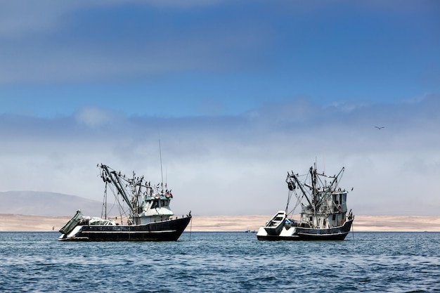 Barcos de pesca en la bahía