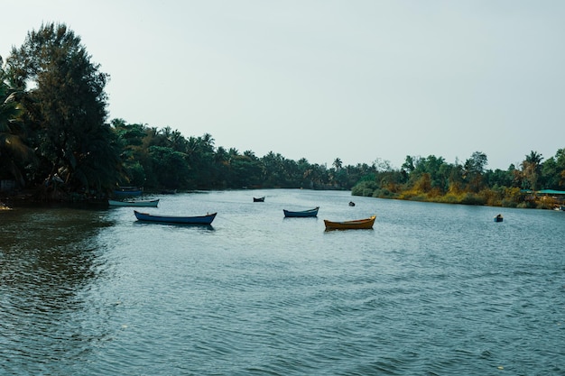 Barcos de pesca de madera flotando en el río Mangalore India