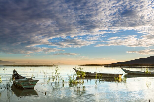 Los barcos de pesca en México