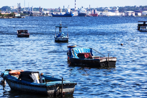 barcos de pesca