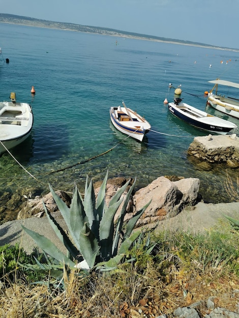 barcos de pesca