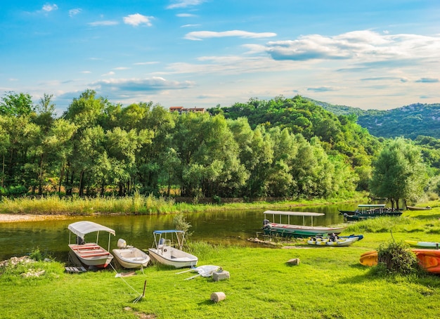 Barcos en prado verde cerca del río Crnojevicha en Montenegro