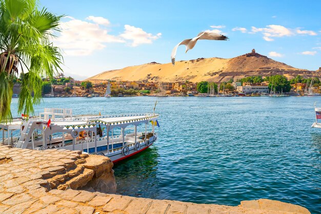 Barcos turísticos atracados