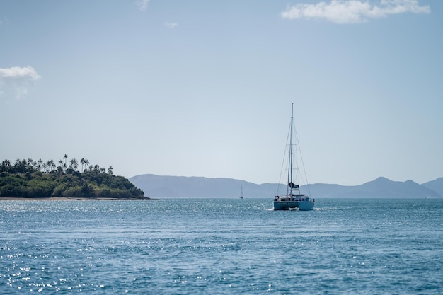 Barcos turísticos y barcos turísticos en los whitsundays queensland australia viajeros en la gran barrera de coral sobre yates de turismo de peces y corales de jóvenes de fiesta en el agua