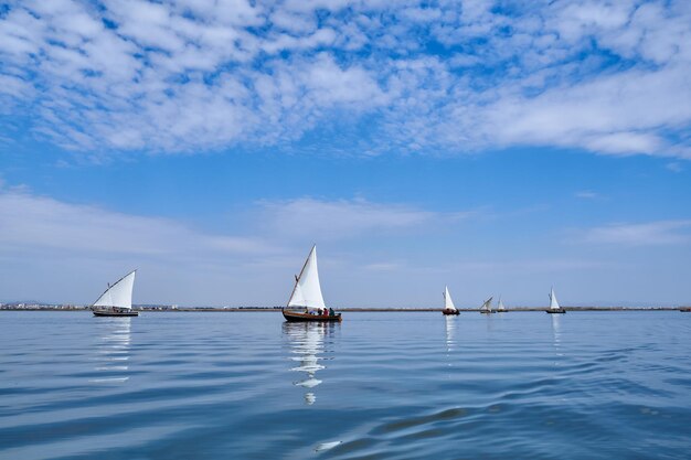 Foto barcos con vela latina en la albufera de valencia, españa