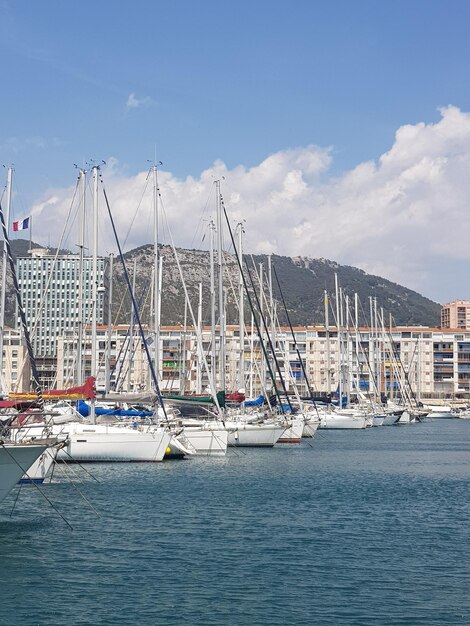 Foto barcos de vela en el puerto deportivo