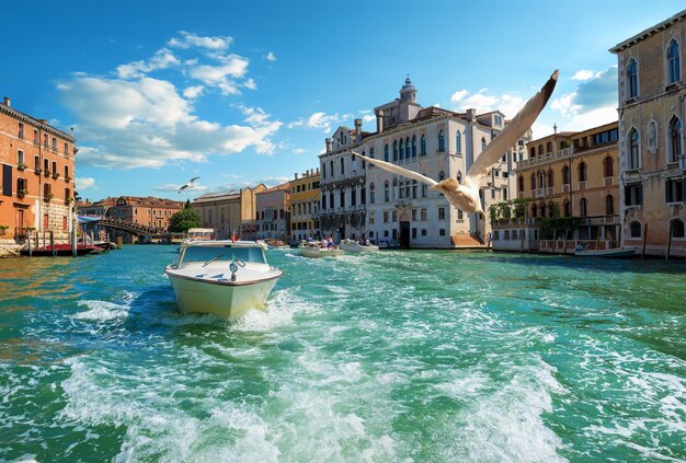 Barcos en Venecia en el Gran Canal, Italia