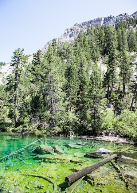 Bardonecchia, Italia. El lago verde, lago alpino con color fluo debido a un alga local