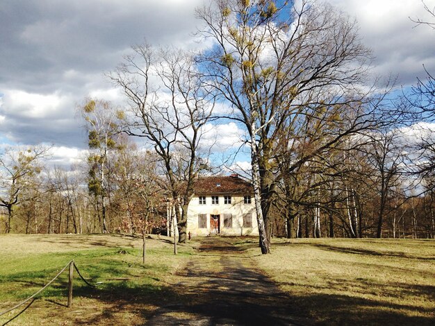 Foto bare bäume und haus auf dem feld