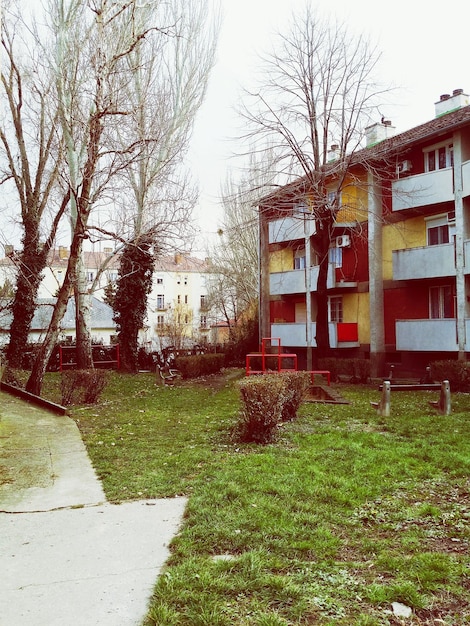 Bare Bäume von gebauten Strukturen gegen den Himmel