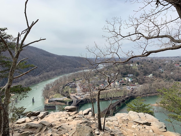 Barer Baum an Felsen gegen den Himmel