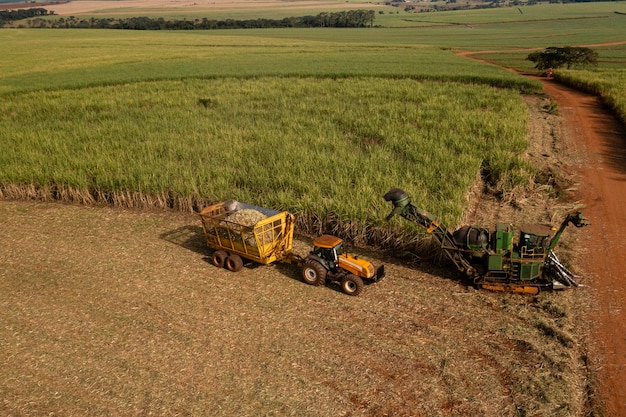 Bariri Sao Paulo Brasil 19 de mayo de 2022 cosechadora y remolque en campo de caña de azúcar en tarde soleada