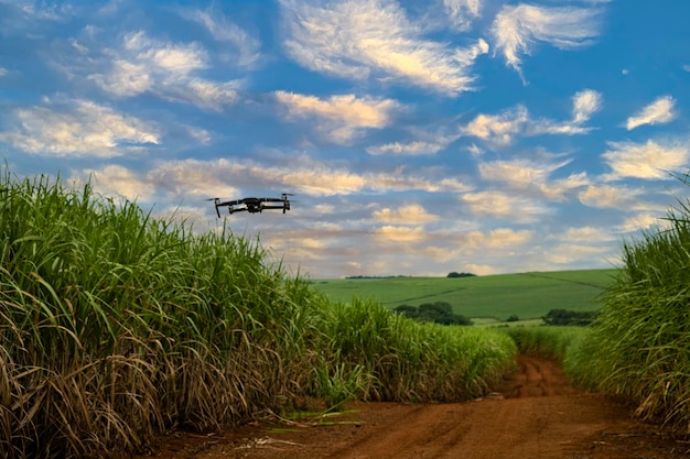 Bariri Sao Paulo Brasilien 26032022 Drohne Mavic 2 Pro fliegt über Zuckerrohrfelder