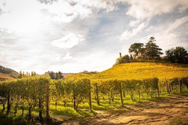 Barolo Weinregion Langhe Piemont Italien