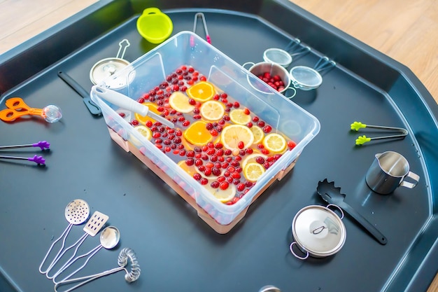 Barra de frutas caseira com bagas de utensílios de cozinha e desenvolvimento sensorial de frutas cítricas e experiências