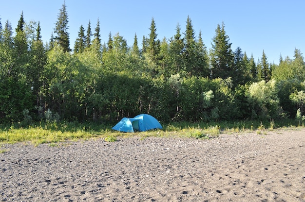 Barraca de acampamento na borda da floresta