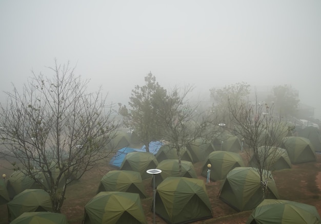 Barraca de acampamento na floresta com clima Nevoeiro no amanhecer BackgoundEstilo de vida Viagens turísticas Fora Férias Verão Natureza Crescimento de plantas Árvore nos feriadosPôr do sol no parque Outono Temporada Terra Scape View Fogueira