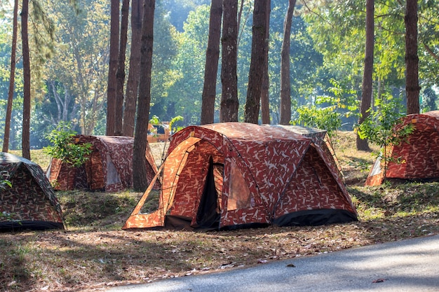 Barraca de acampamento na floresta.