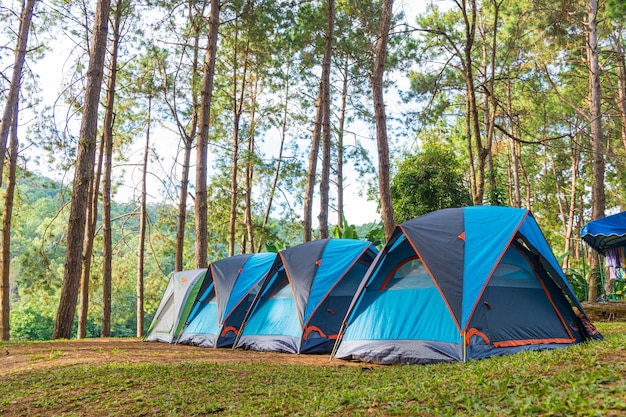 Barraca de acampamento na grama