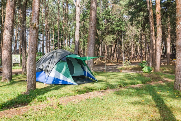 Barraca de cúpula acampar na floresta