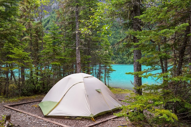 Barraca de turista moderna pendurada entre árvores em uma floresta verde