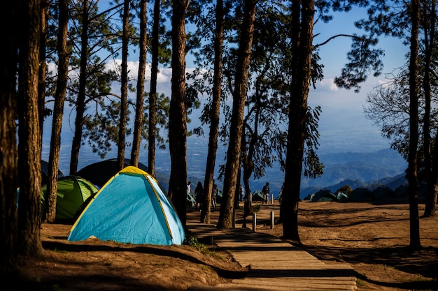 Barraca do turista na paisagem dentro