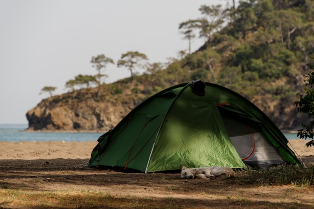 Foto barraca verde em pé na praia em dia de sol