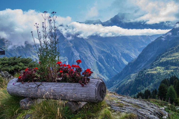 Barracão de ferramentas brunetvalaisswiss