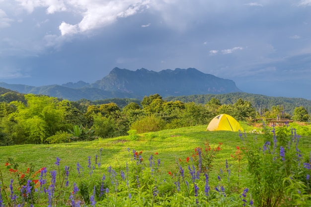 Barracas de acampamento e flor com Doi Luang Chiang Dao no homem de Doi Mae Ta, Chiang Mai, Tailândia