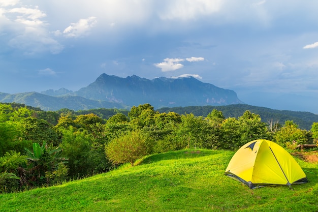 Barracas de acampamento e flor com Doi Luang Chiang Dao no homem de Doi Mae Ta, Chiang Mai, Tailândia