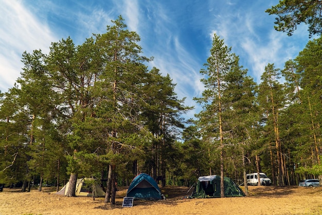 Barracas na praia arenosa entre os pinheiros lago ladoga karelia