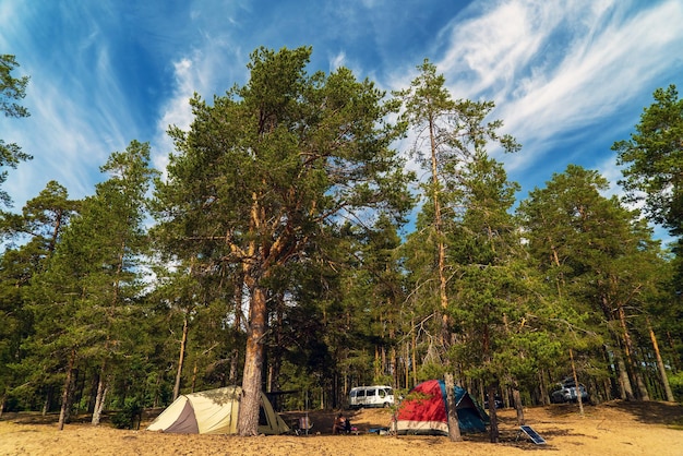 Barracas na praia arenosa entre os pinheiros Lago Ladoga Karelia