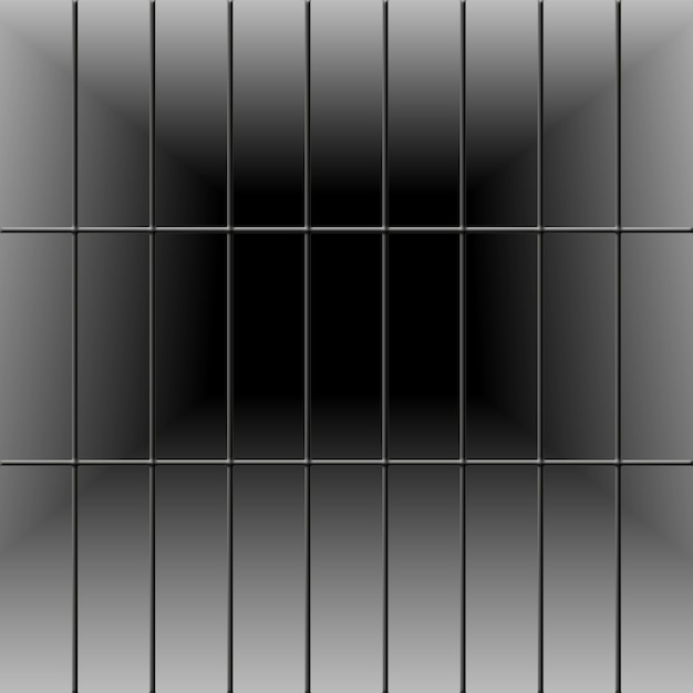 Foto barras de la prisión