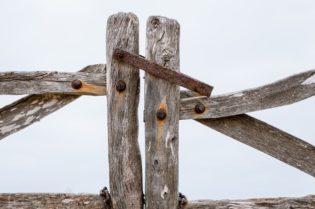 Barrera clásica de acebuche rural. Una puerta típica de la isla de Menorca.