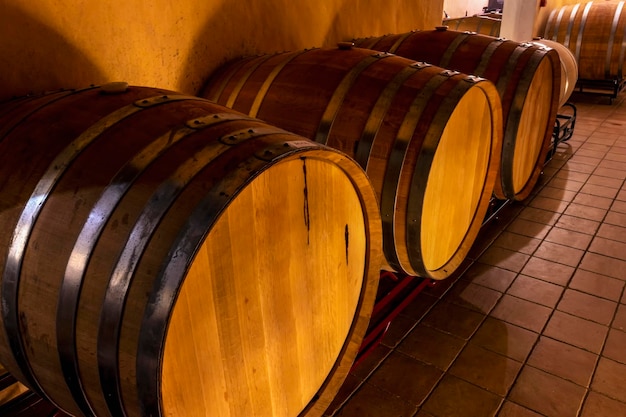 Barricas de vino español macerando en madera de roble americano