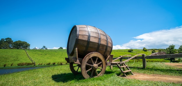 Barril de vinho no campo de grama verde