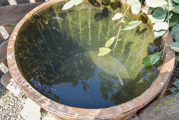 Barril de madera lleno de agua Almacenamiento en agua abierta en contenedor al aire libre